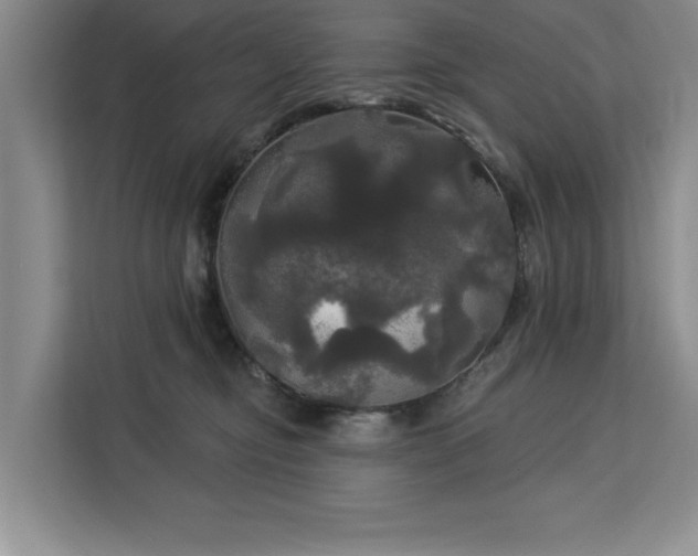 X0000113080374200908281228