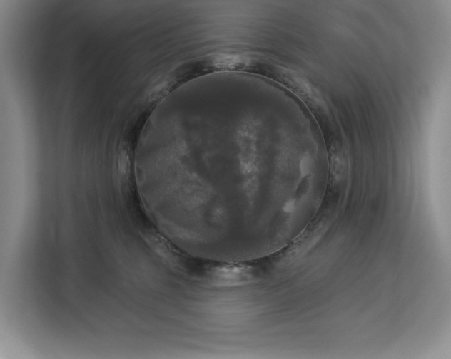 X0000113080375200908281228