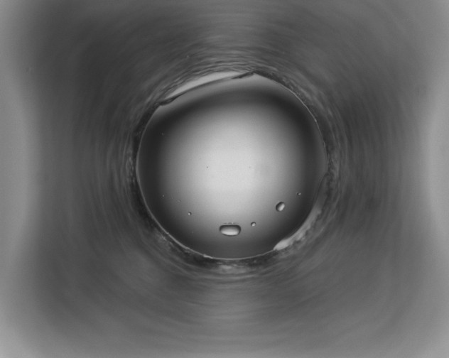 X0000113080376200908281228