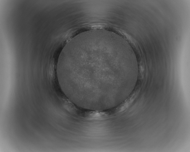 X0000113080379200908281228