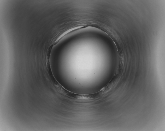 X0000113080380200908281228