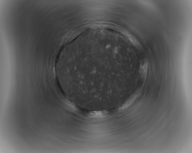 X0000113080381200908281228