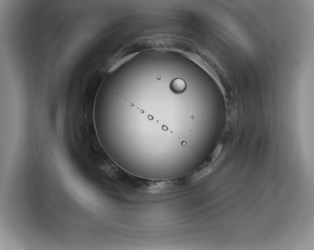 X0000113080382200908281228