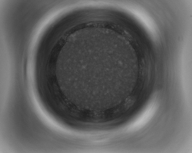 X0000113080383200908281228