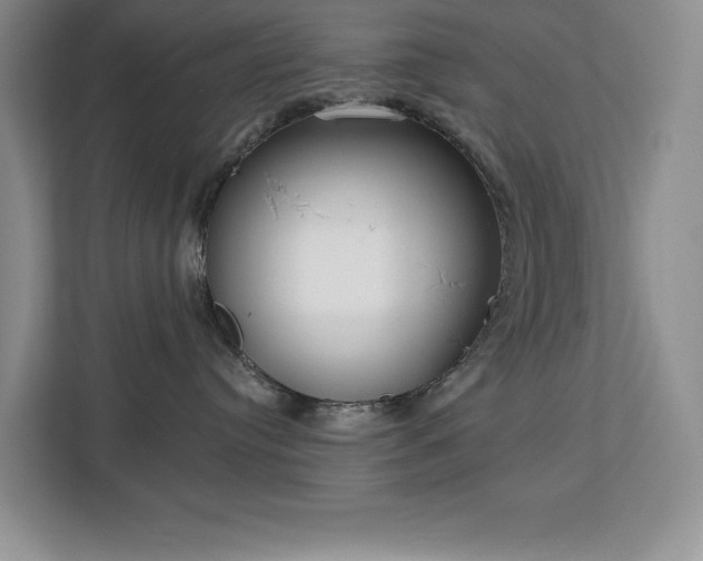 X0000113080384200908281228