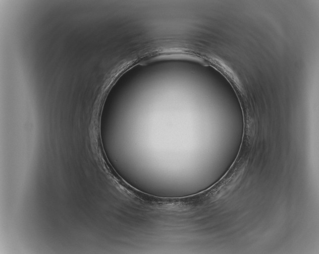 X0000113080385200908281227