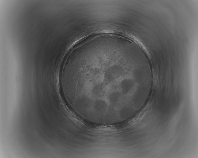 X0000113080386200908281227