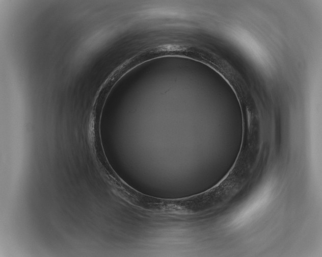 X0000113080387200908281227