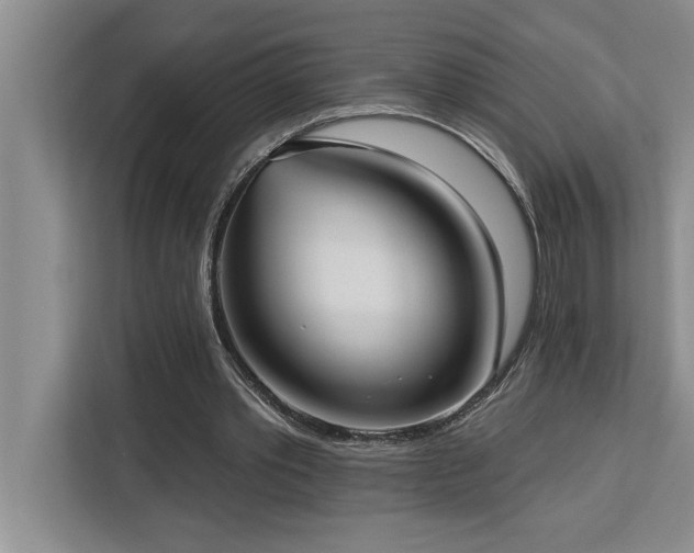 X0000113080389200908281227