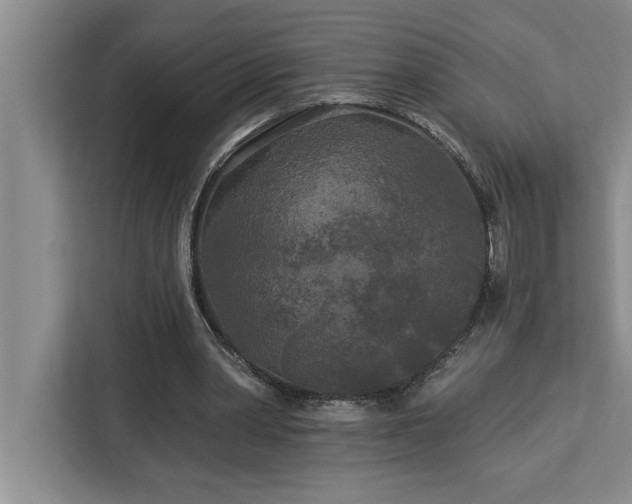 X0000113080390200908281227