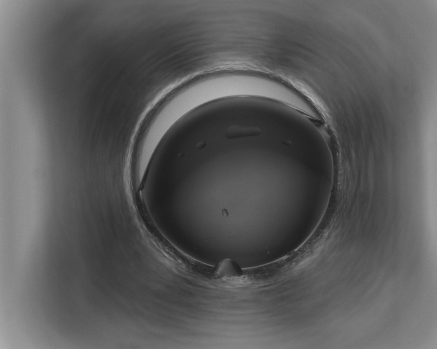 X0000113080391200908281227