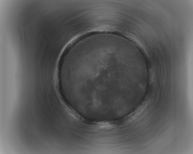 X0000113080392200908281227