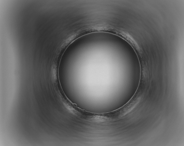 X0000113080393200908281227