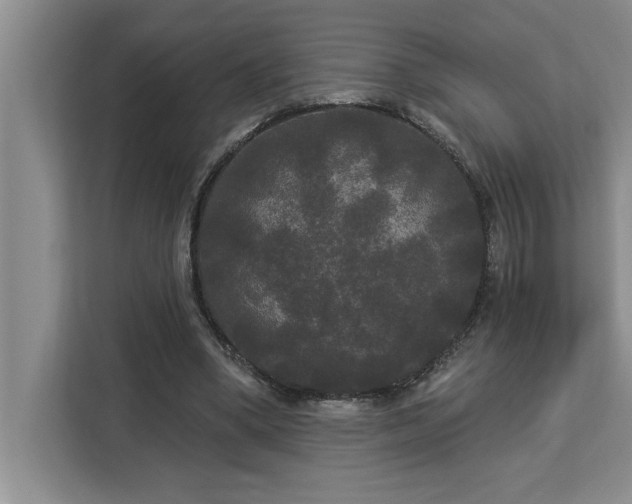 X0000113080394200908281227