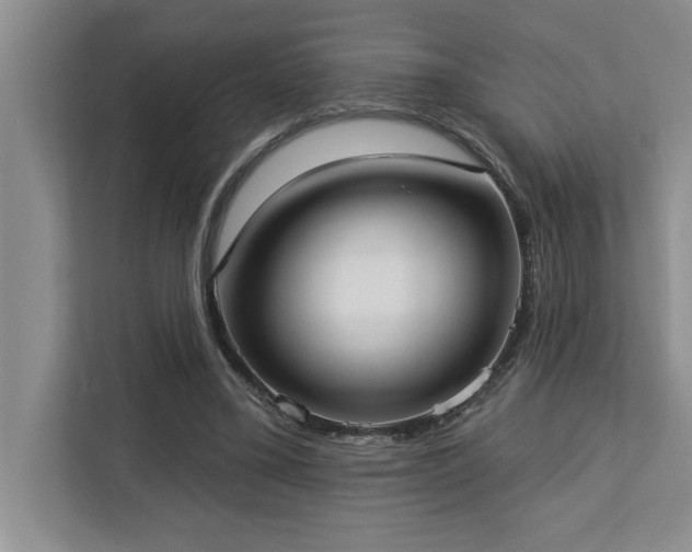 X0000113080395200908281227