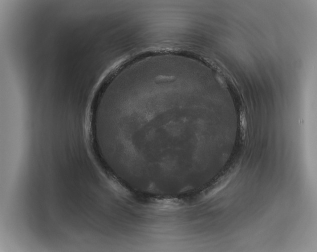 X0000113080396200908281227