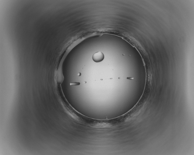 X0000113080397200908281227