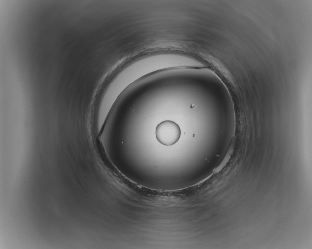 X0000113080399200908281227