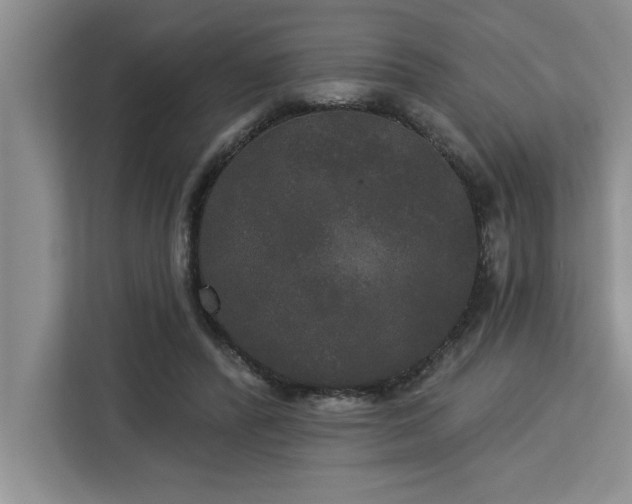 X0000113080400200908281227