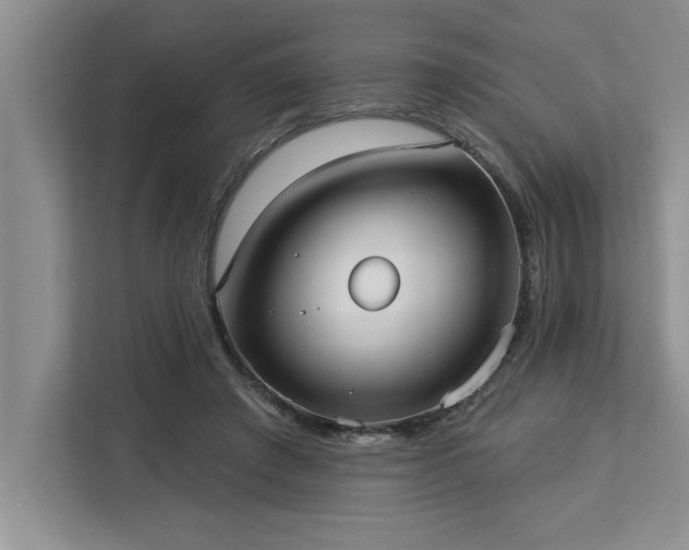 X0000113080401200908281227