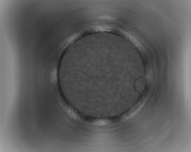 X0000113080402200908281227