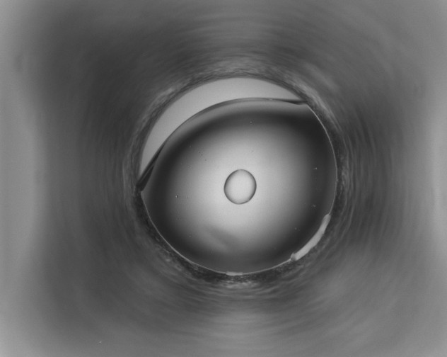 X0000113080403200908281227