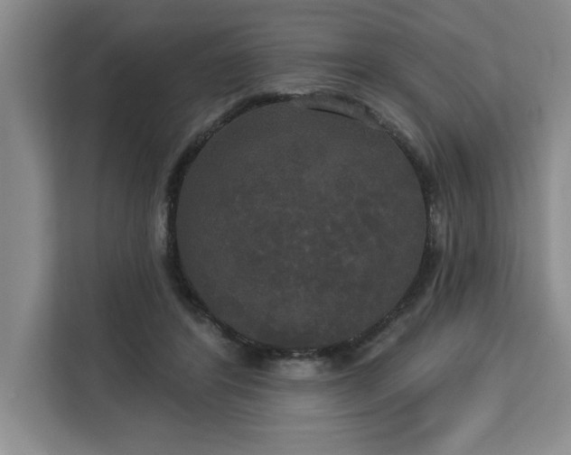 X0000113080404200908281227