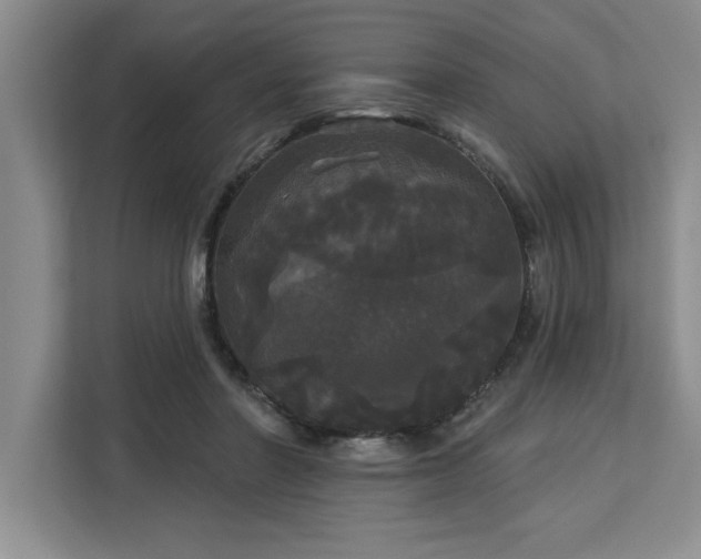 X0000113080406200908281227