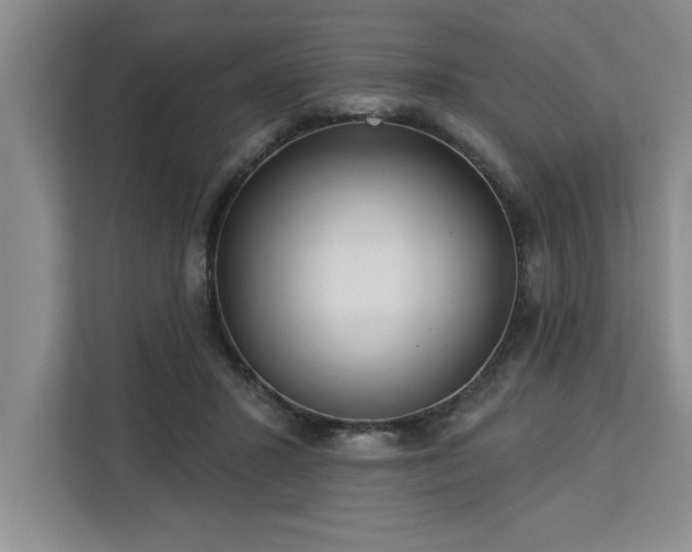 X0000113080407200908281227