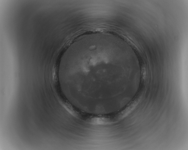 X0000113080408200908281227