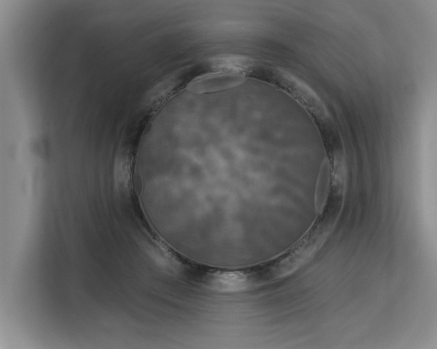 X0000113080409200908281227