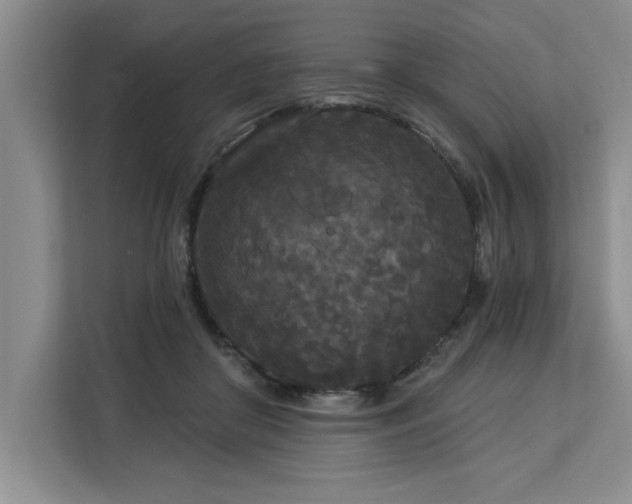 X0000113080410200908281227