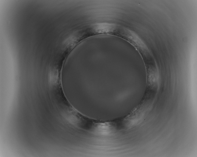 X0000113080411200908281227