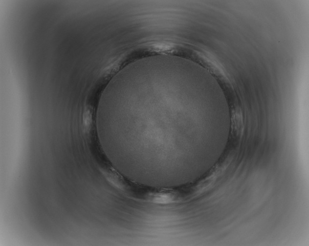 X0000113080412200908281227