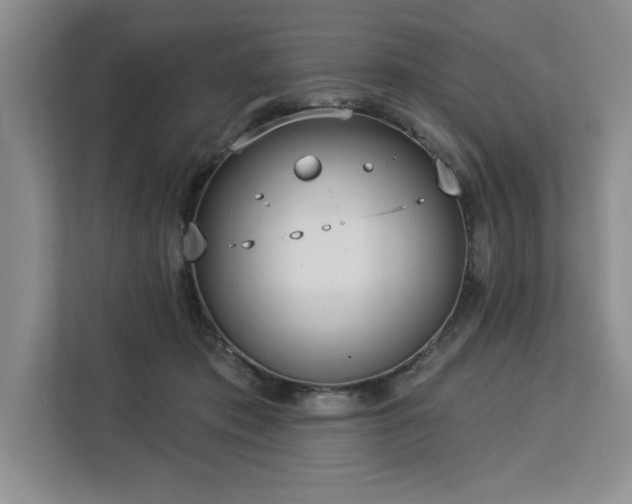 X0000113080413200908281227