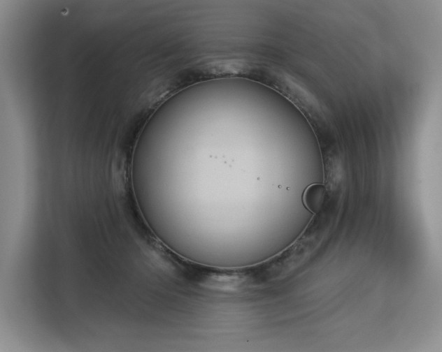 X0000113080414200908281227