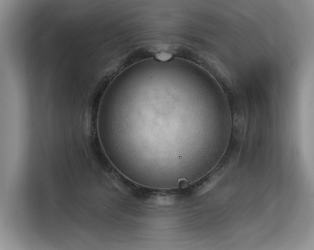 X0000113080416200908281227