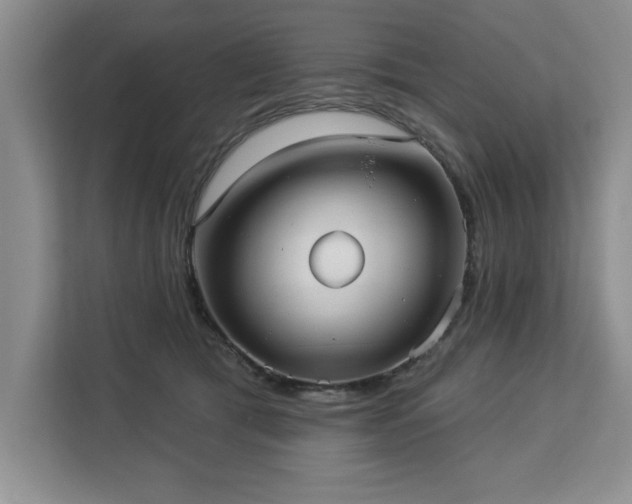 X0000113080417200908281227