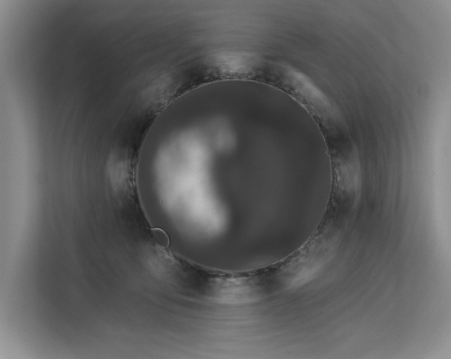 X0000113080419200908281227