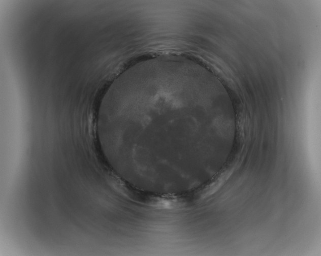 X0000113080420200908281227