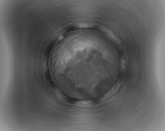 X0000113080422200908281227