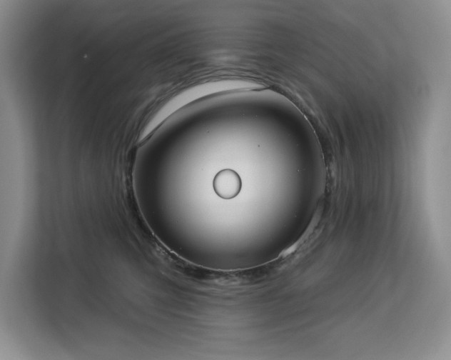 X0000113080423200908281227