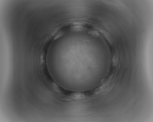 X0000113080424200908281227