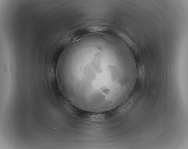 X0000113080426200908281227