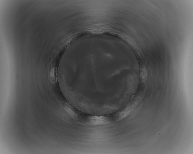 X0000113080428200908281227