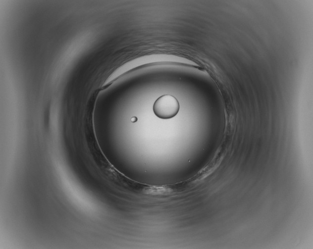 X0000113080429200908281227