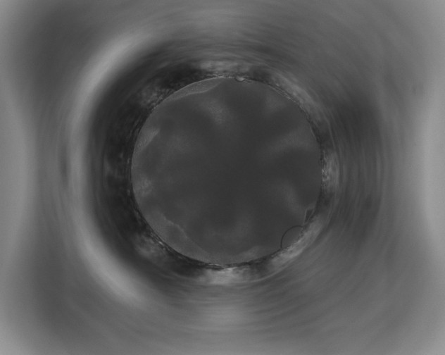 X0000113080430200908281227