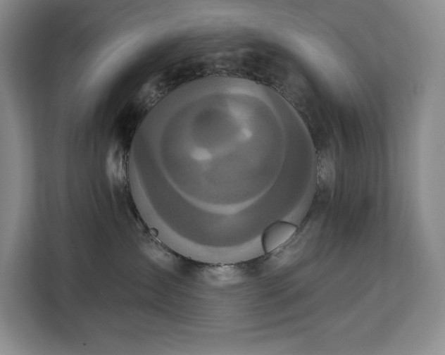 X0000113080431200908281227