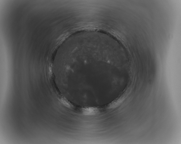 X0000113080432200908281227