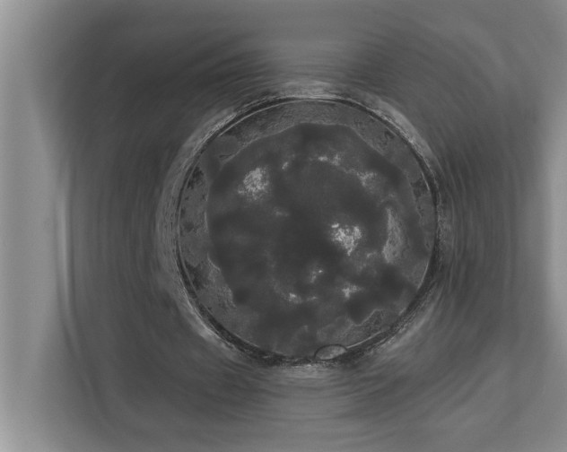 X0000113080433200908281226